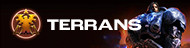 Terran