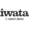 Iwata